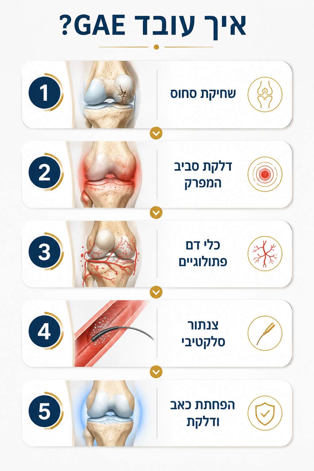אינפוגרפיקה המסבירה איך עובד טיפול GAE בצנתור עורקי הברך להפחתת כאב ודלקת